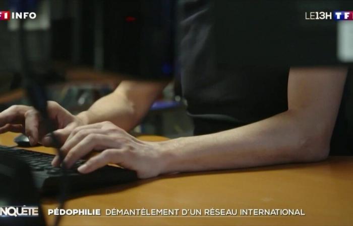 Child crime: an international network dismantled in France, more than 10,000 suspects identified