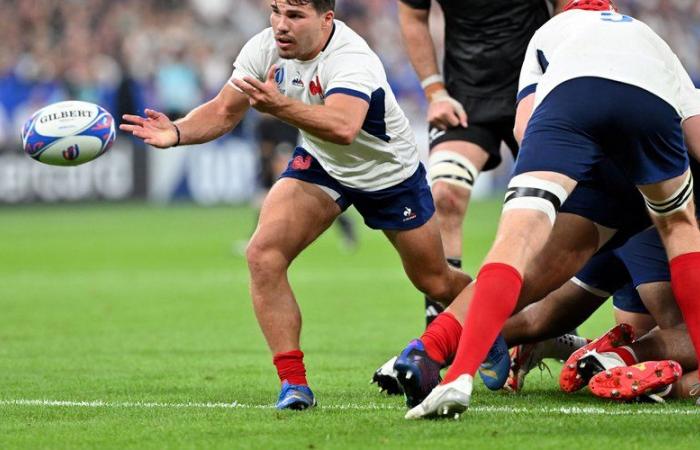 France – New Zealand: at what time and on which channel to follow the poster between the Blues and the All Blacks