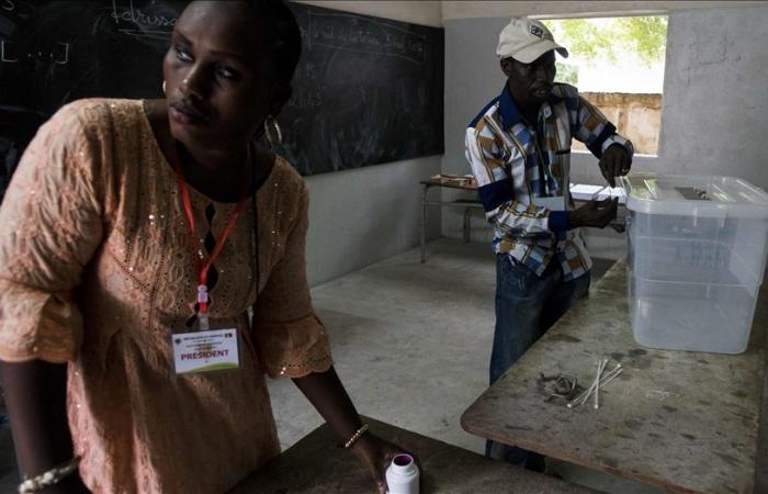 Legislative elections in Senegal: what you need to know