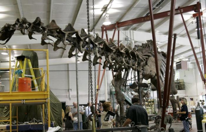 Giant dinosaur skeleton sold for 4.7 million euros in France