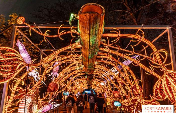 Jurassic in the process of illumination: the 2024-2025 festival of lights at the Jardin des Plantes – photos