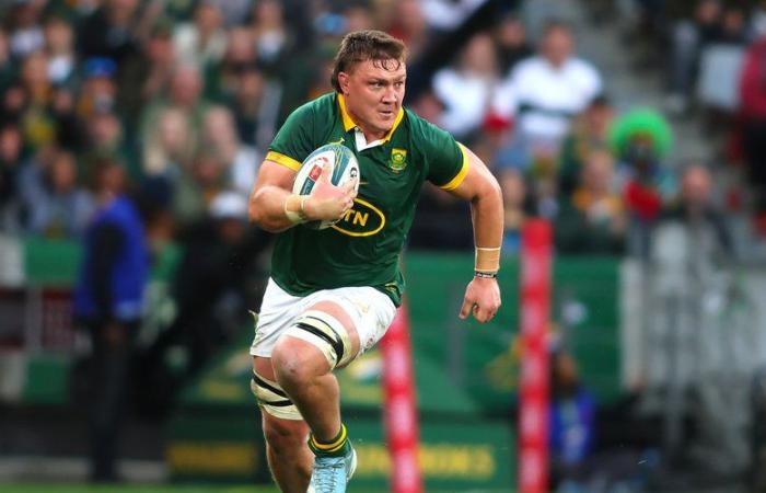 Autumn tour 2024 – England-South Africa notes: Wiese and Etzebeth rule the roost, Steward's nightmare