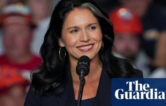 ‘A Russian asset’: Democrats slam Trump’s pick of Tulsi Gabbard as director of national intelligence | Trump administration