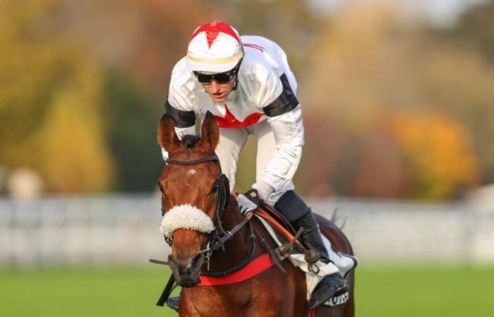 Saturday November 16 in Auteuil: Arnaud Chaillé-Chaillé again