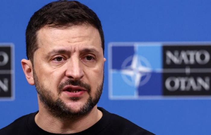 Ukrainian President Volodymyr Zelensky wants to end the conflict in 2025 by “diplomatic means”