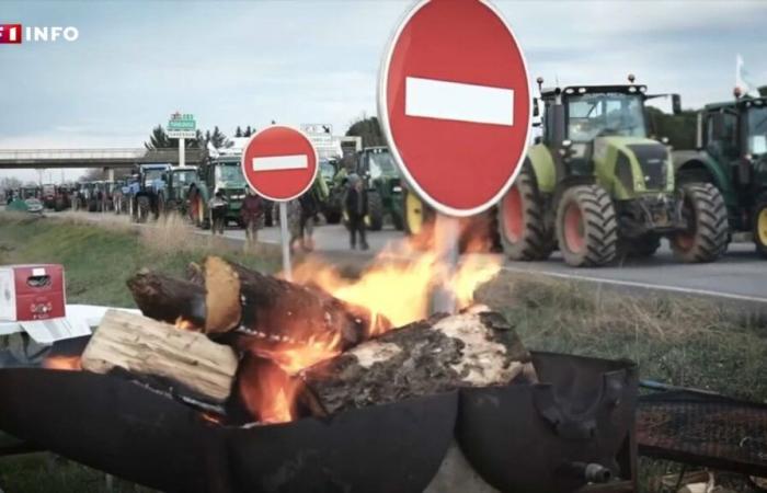 Angry farmers: a new mobilization planned for this Monday in France