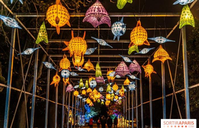 Jurassic in the process of illumination: the 2024-2025 festival of lights at the Jardin des Plantes – photos