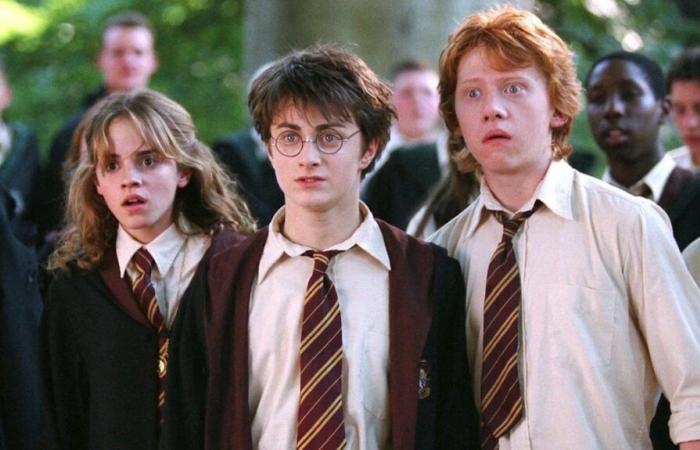 5 Reasons Why HBO’s Harry Potter TV Series Is Destined To Flop