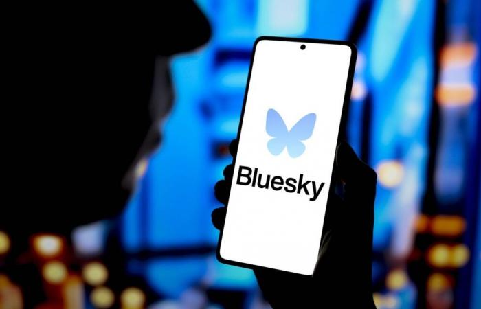 After Trump’s election, the social network Bluesky gains one million users in 24 hours