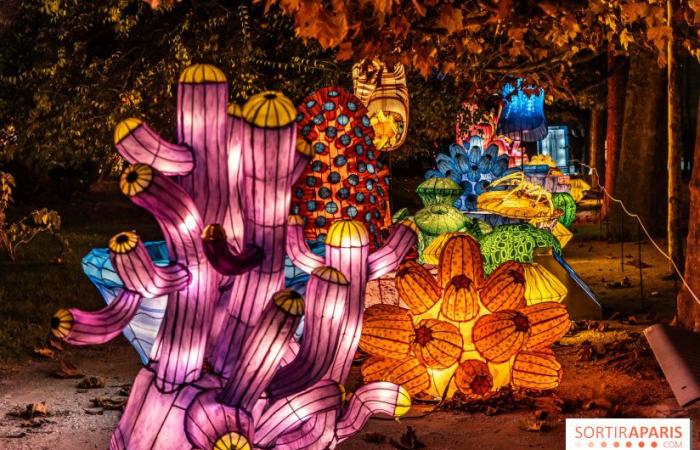 Jurassic in the process of illumination: the 2024-2025 festival of lights at the Jardin des Plantes – photos