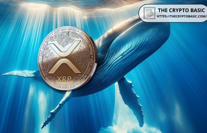 XRP Whales Stack 320M Tokens in 72 Hours as XRP Nears $1