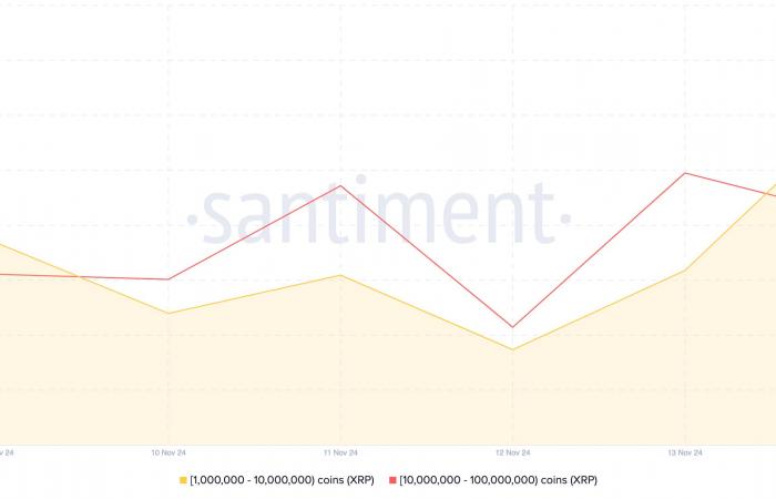 Here are the altcoins crypto whales bought this week