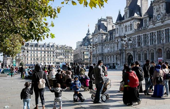 An “urban forest” in front of Paris city hall