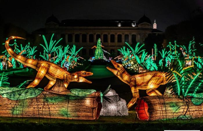 Jurassic in the process of illumination: the 2024-2025 festival of lights at the Jardin des Plantes – photos