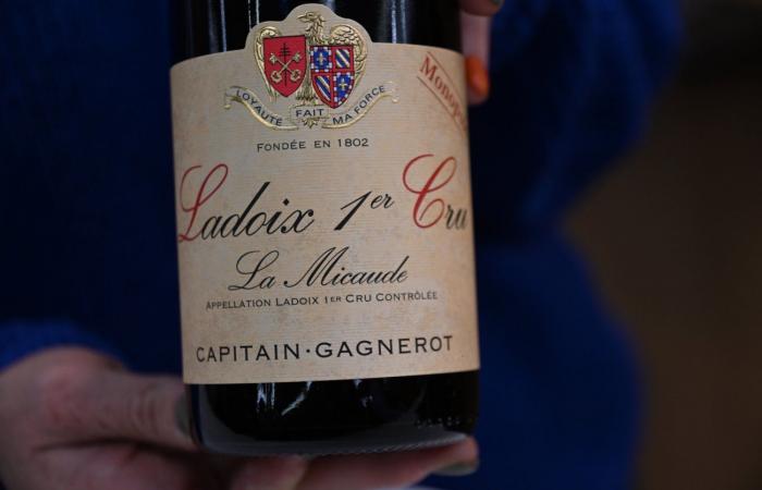 Burgundy: You don't have to pay a lot to have good wines