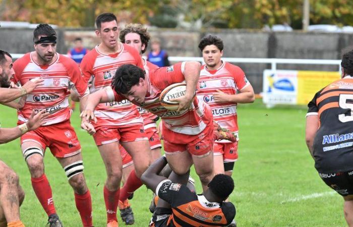 Amateur rugby – Federal 2: with the reception of Beaumont-de-Lomagne, the Lombez-Samatan Club seeks consistency in Paul-Vignaux