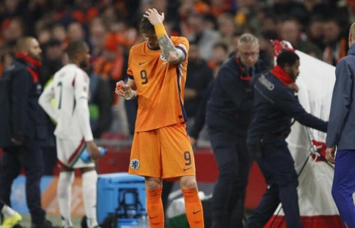 Due to “medical emergency”, Netherlands-Hungary match interrupted