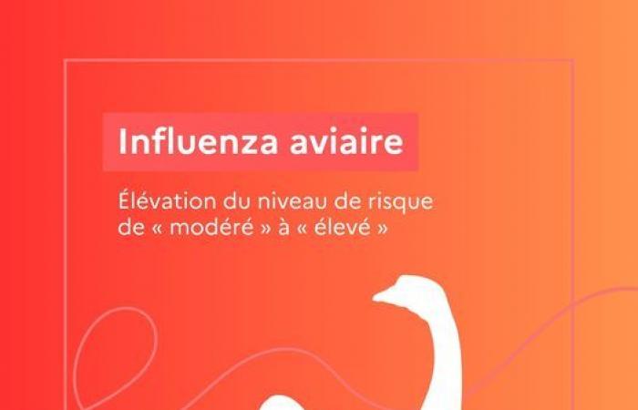 Increase in the level of avian influenza risk from “moderate” to “high” since November 9, 2024 across the entire national territory