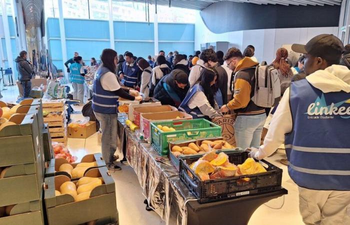 Fresh products, clothing… the PSG “Solidarity Canteen” welcomes 2,500 students in financial difficulties