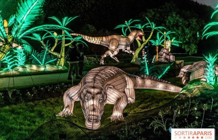 Jurassic in the process of illumination: the 2024-2025 festival of lights at the Jardin des Plantes – photos