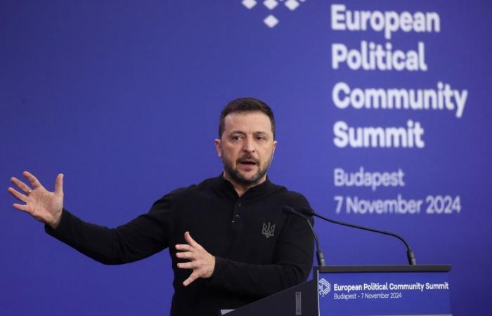 Ukraine must do everything to end the war in 2025 through diplomacy – Zelensky