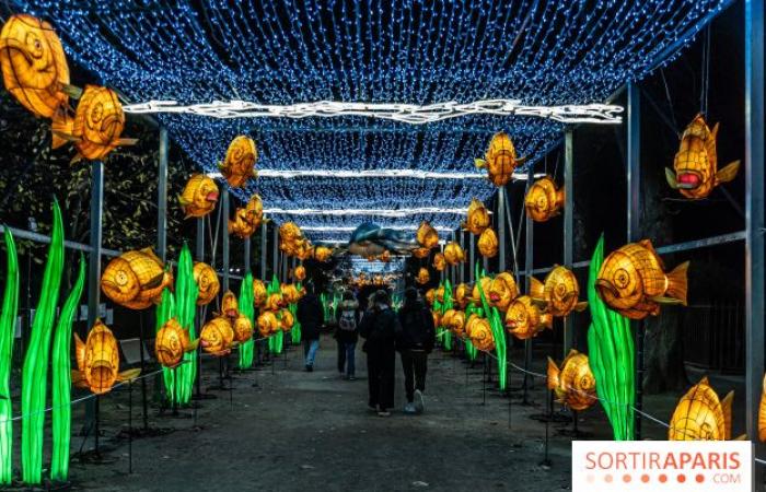 Jurassic in the process of illumination: the 2024-2025 festival of lights at the Jardin des Plantes – photos