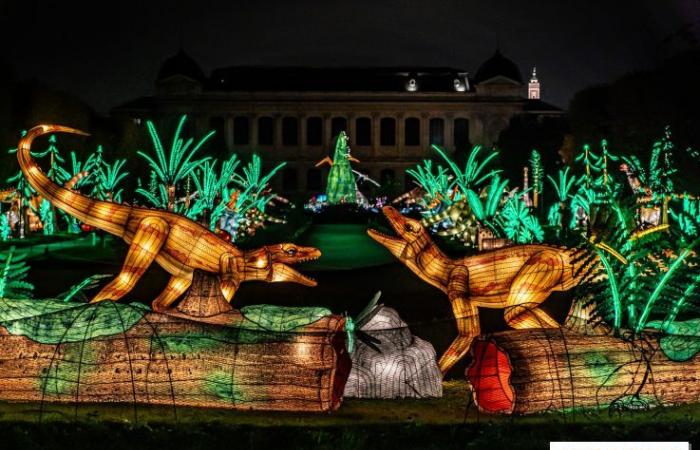 Jurassic in the process of illumination: the 2024-2025 festival of lights at the Jardin des Plantes – photos