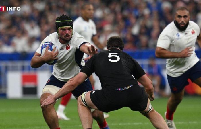 LIVE – France-New Zealand: a shock at the summit to watch on TF1