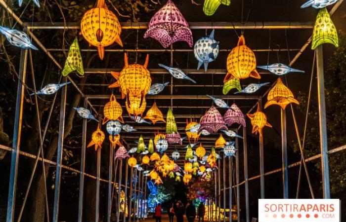 Jurassic in the process of illumination: the 2024-2025 festival of lights at the Jardin des Plantes – photos