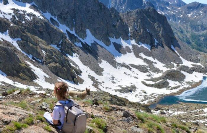 ‘It looked like a slab of cement’: Hiker makes incredible discovery in Italian Alps