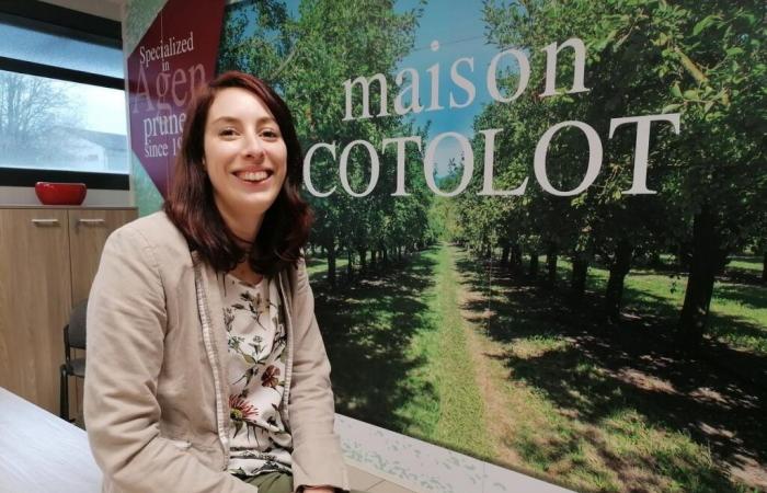 From Villeneuve-sur-Lot, Maison Cotolot promotes prunes internationally