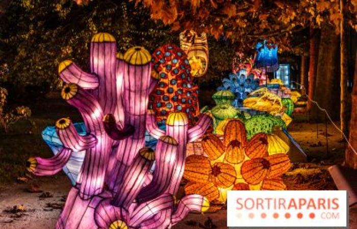 Jurassic in the process of illumination: the 2024-2025 festival of lights at the Jardin des Plantes – photos