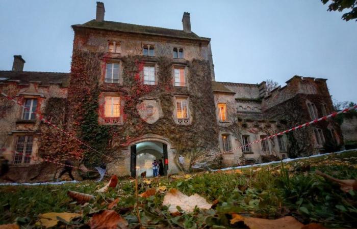 Seine-et-Marne. How this threatened castle came back to life thanks to a couple of enthusiasts