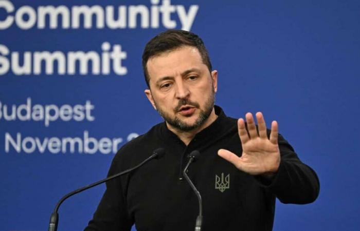 Ukraine: Zelensky says he wants the war to end in 2025 by “diplomatic means”