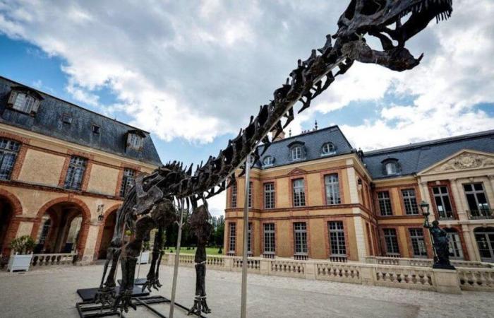 A giant dinosaur skeleton sold for 6 million euros