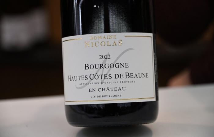 Burgundy: You don't have to pay a lot to have good wines