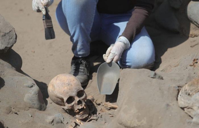 Dozens of children's bodies found at pre-Inca burial site, they were sacrificed for horrifying reason