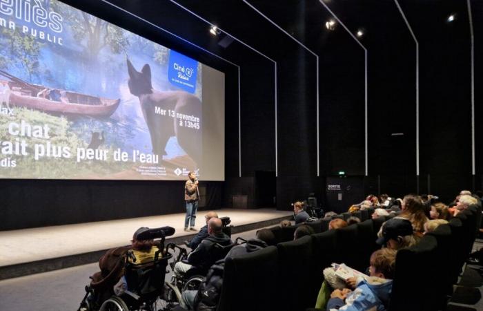 in Montreuil, cinema screenings adapted to people with disabilities