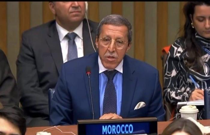 Omar Hilale appointed co-president of the ECOSOC Forum