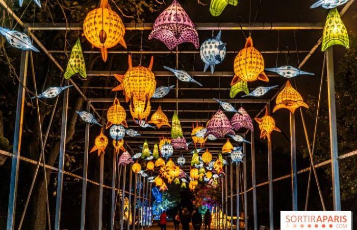 Jurassic in the process of illumination: the 2024-2025 festival of lights at the Jardin des Plantes – photos