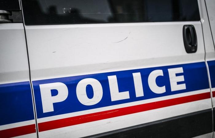 Two men, including a Guyanese, indicted near Toulouse for having kidnapped and tortured their robbers