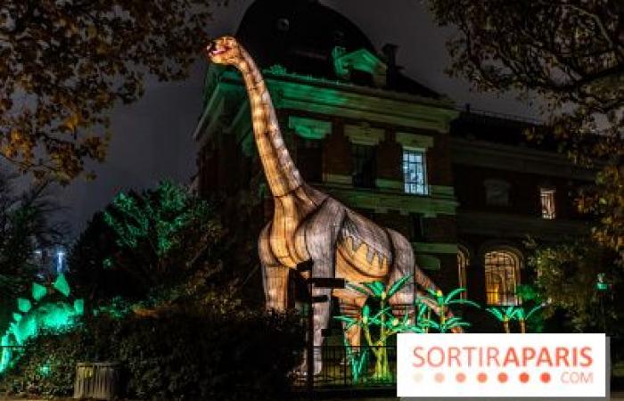 Jurassic in the process of illumination: the 2024-2025 festival of lights at the Jardin des Plantes – photos