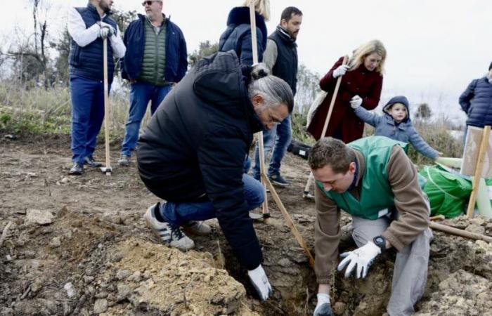 Bouches-du-Rhône. Glenn Viel, three-star chef, commits to the Montagnette devastated by fire