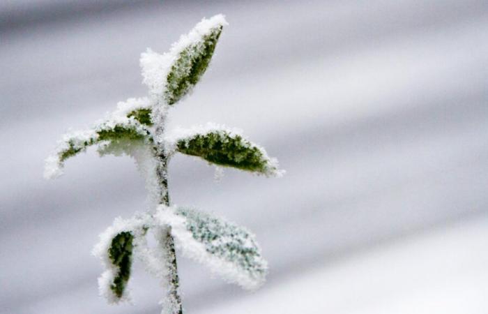 With the return of snow and cold, this week's weather looks wintery