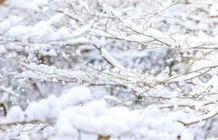 why snowflakes could fall all the way to the plains next week, according to forecasts