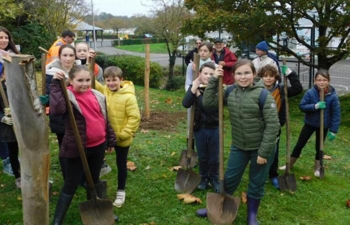 Silver. Young elected officials planted trees in several places