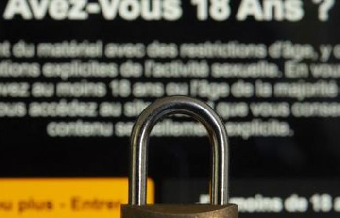 Four pornographic sites are blocked in France because they do not verify the age of their users