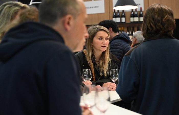 Burgundy: You don't have to pay a lot to have good wines