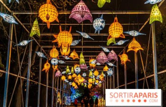 Jurassic in the process of illumination: the 2024-2025 festival of lights at the Jardin des Plantes – photos