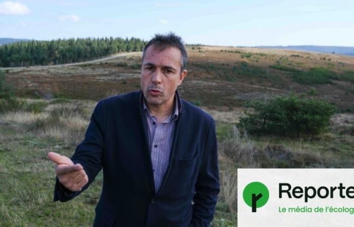 In the Cévennes, 122 hectares of solar panels will be installed in a protected area